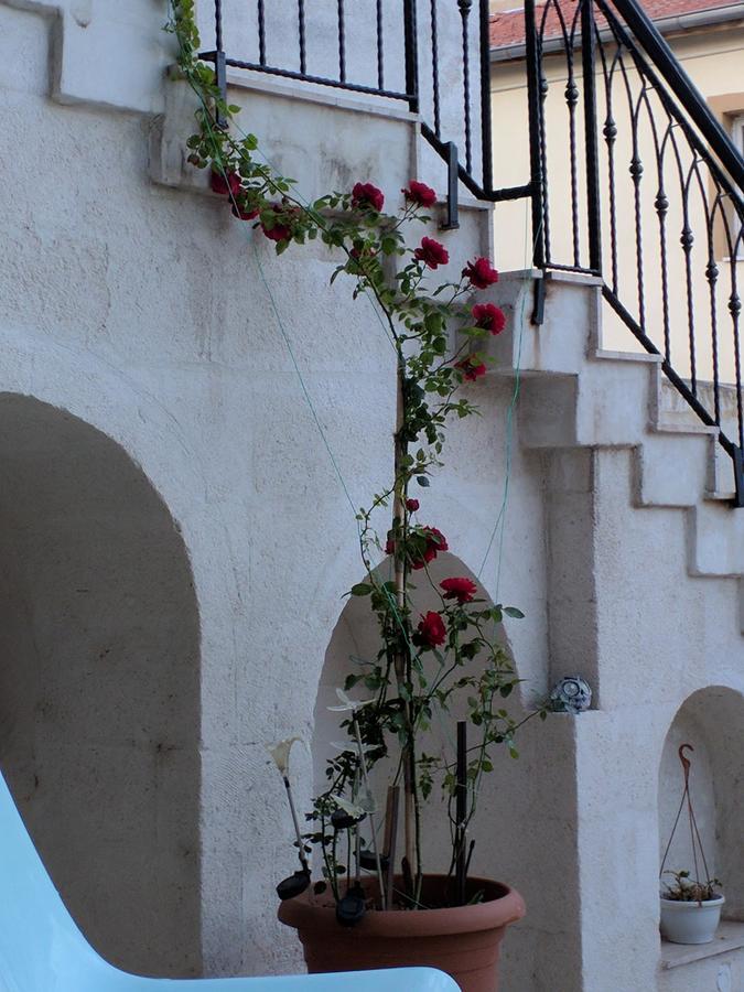 Sendian-Guesthouse (Adults Only) أفانوس المظهر الخارجي الصورة